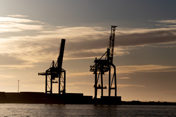 Cranes on a container port in backlighting. 