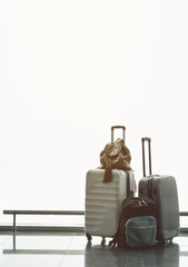 Big luggage and bag locating on grey floor. Trip concept. Copy space