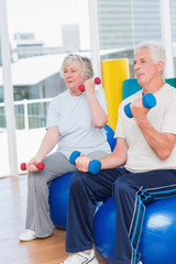 Senior couple lifting dumbbells on exercise ball