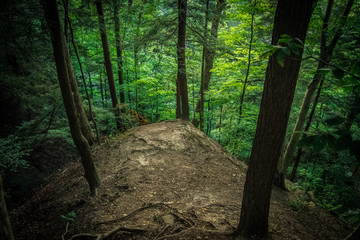 Obraz premium Natural Green