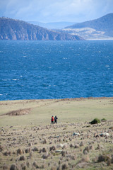 Tasmania figure in landscape