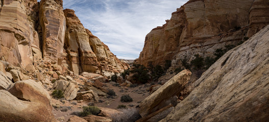 viewpoint of capitol reef national park in utah in the spring time with clear blue skies, rock outcrops, canyons, narrows and juniper trees