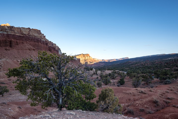 Fototapeta na wymiar viewpoint of capitol reef national park in utah in the spring time with clear blue skies, rock outcrops, canyons, narrows and juniper trees