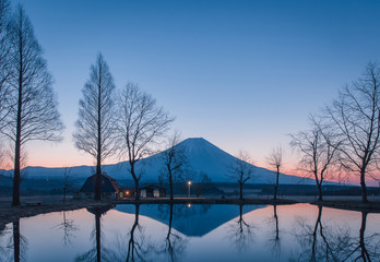 Mountain Fuji in the morning at Fumotopara camping ground, Fujinomiya , Shizuoka prefecture