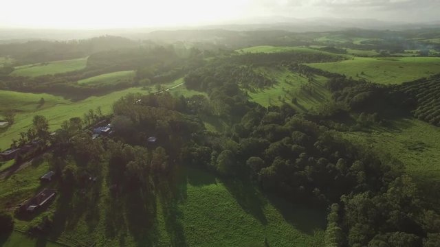Smooth cinematic flight over lush green countryside at sunset with trees casting long shadows