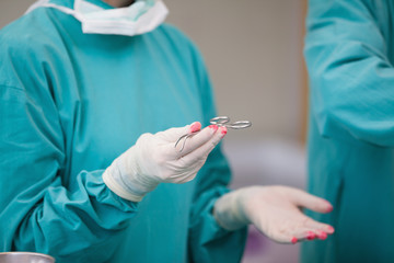 Nurse holding a surgical scissor