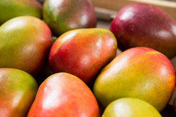 Close-up of red mangoes