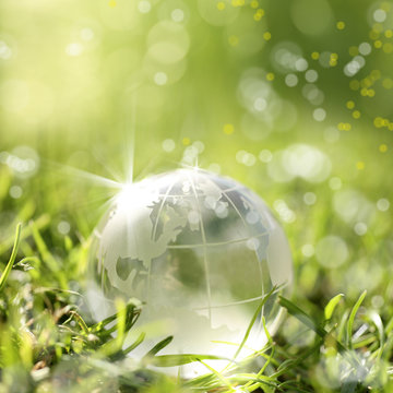 glass globe on green grass