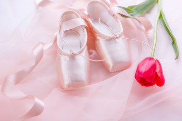 Pink Ballet costume and ballet shoes, and tulips.