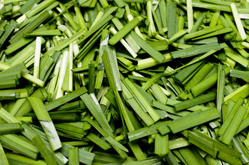 刻んだニラ © kariphoto