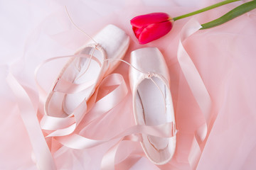 Top view of ballet shoes and tulips 