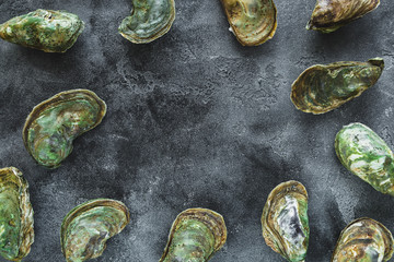 Frame of fresh oysters on dark background. Sea food composition. Flat lay. Top view