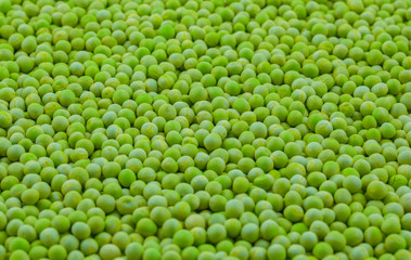 Fototapeta na wymiar Dried Green Peas