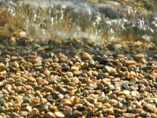 Sun, air and water are my best friends