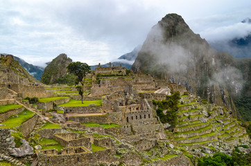 Fototapeta premium The lost city of Machu Picchu. Cuzco , Peru