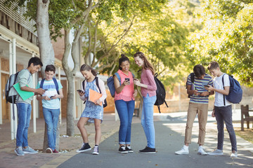 Students using mobile phone on road in campus