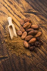cacao beans and cacao powder in spoon