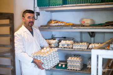 Mature man working and packing white hen eggs