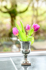 bouquet of violet tulips