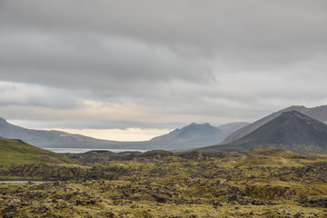 Paesaggio Islandese