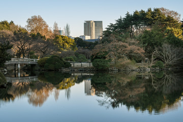 Obraz premium 都会の冬の公園 池に映る風景１