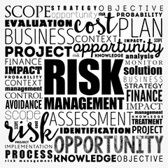 Risk Management word cloud collage, business concept background