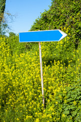 Road sign in the yellow flowering