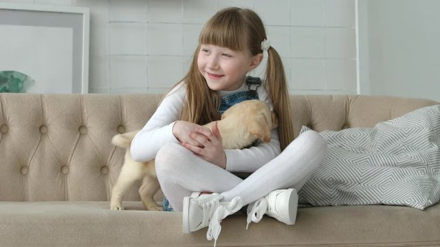 Little girl holds a labrador puppy
