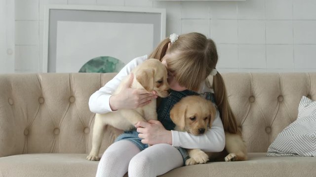 cute girl hugging with labrador puppies