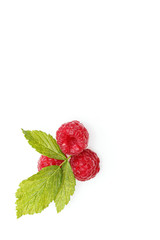 raspberry berries isolated on white