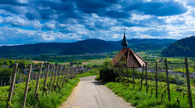 Blick in das Kinzigtal von Ohlsbach