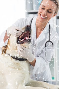 Composite image of Veterinarian examining teeth of dog with snow falling