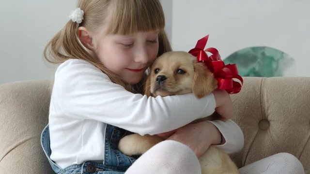 Charming girl hugs a given puppy
