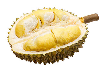 Obraz premium Durian fruit portion isolated