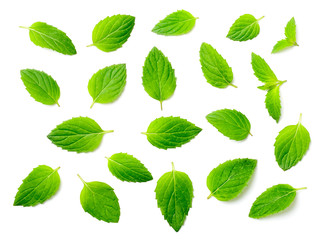 fresh peppermint leaves isolated on white, top view