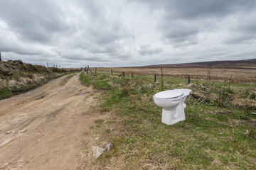 Discarded toilet pan