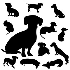   Dachshund silhouette collection 