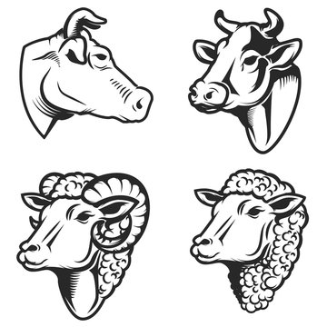Set of cow and sheep heads on white background. Design element for logo, label, emblem, sign.