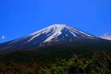 Fototapeta premium 5合目奥庭からの富士山 2018/04/28