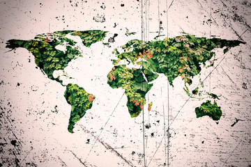 world map and leaves