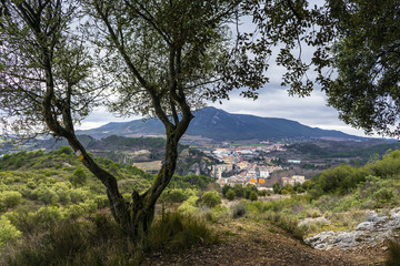 vistas de un pueblo desde la montaña con un arbol