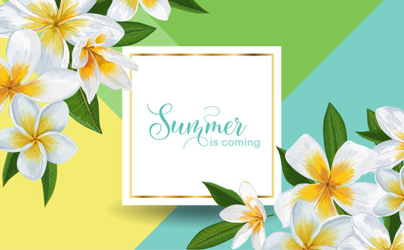 Summer Tropical Background with Plumeria Flowers and Palm Leaves. Exotic Typographical Design for Advertising, Flyer, T-shirt, Poster, Sale Banner. Vector illustration