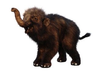 3D Rendering Woolly Mammoth Baby on White