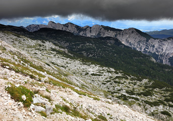 Mountain valley Krma in Triglav National Park, Slovenia, Europe