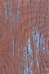 Old wooden background with remains of pieces of scraps of old paint on wood. Texture of an old tree, board with paint, vintage background peeling paint. old blue board with cracked paint, 