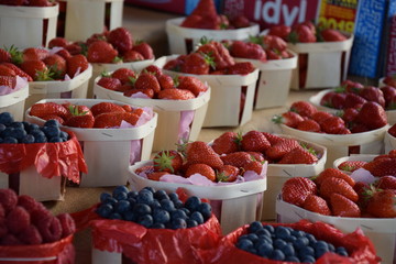 L'isle sur la sorgue