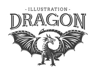 Fototapeta na wymiar Vector Dragon illustration, print, emblem design on a white background.