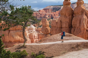 Hiker visits Bryce canyon National park in Utah, USA