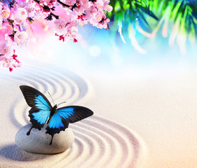 Butterfly In Japanese Rock Garden With Sakura Blossoms - Zen Concept

