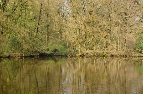 Rastede